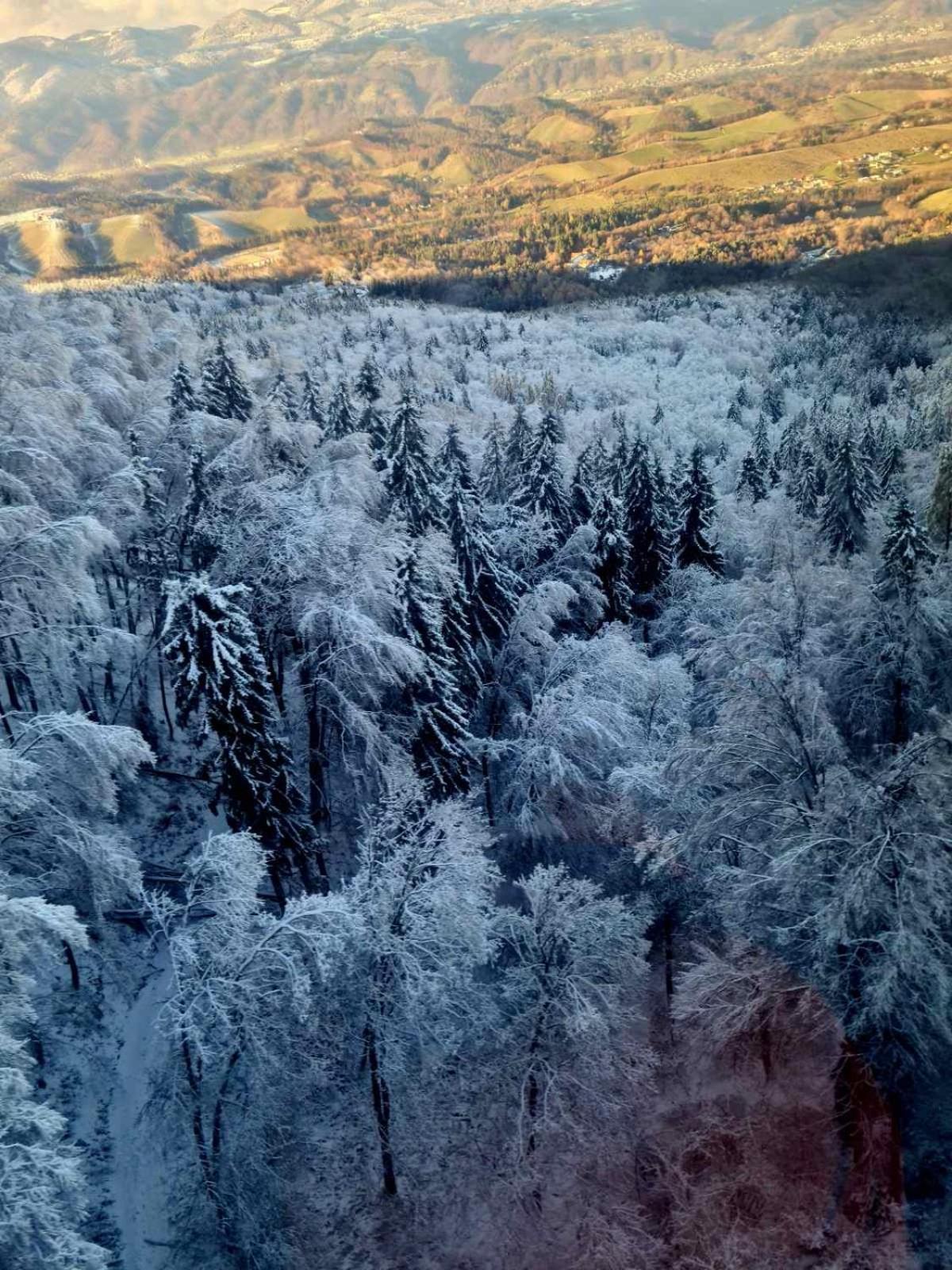 Foxi Apartment, Pohorje Hočko Pohorje Exterior foto